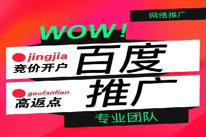 网站sem托管案例分享：如何精准投放广告
